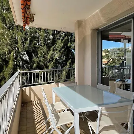Palm D'or / Gir2405 / 2p